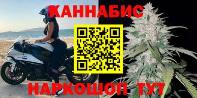 гашик Будённовск