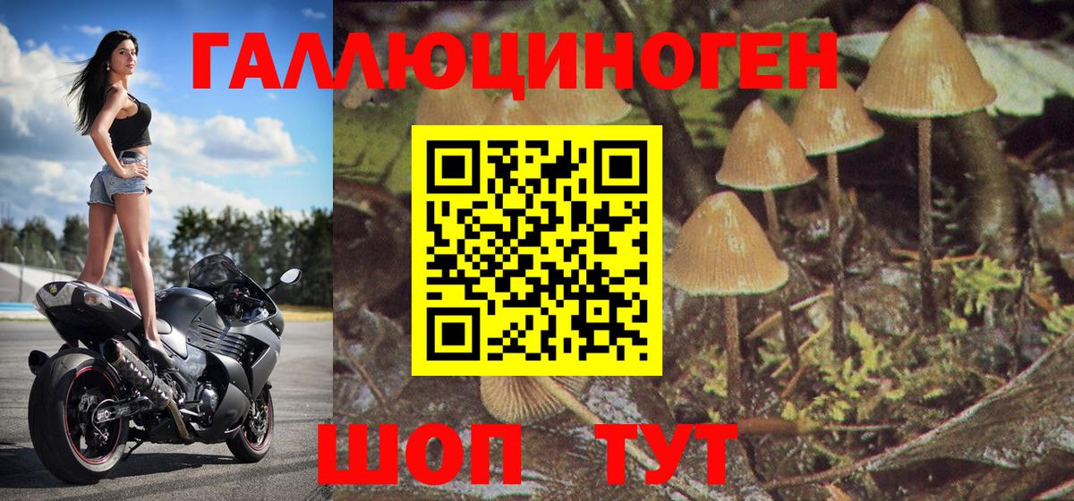 Смоленск  Галлюциногенные грибы Magic Shrooms  Вход с VPN 