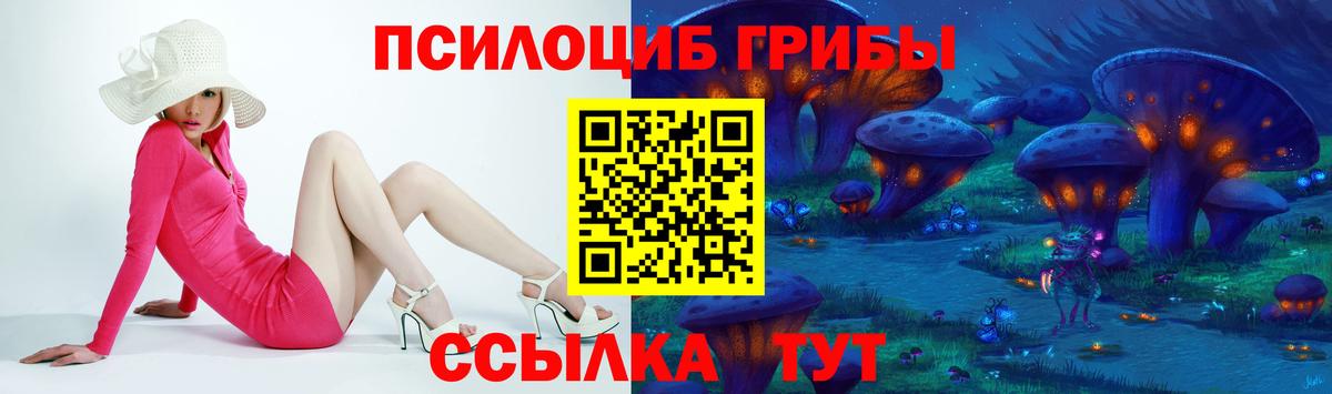 Псилоцибиновые грибы Psilocybe Смоленск